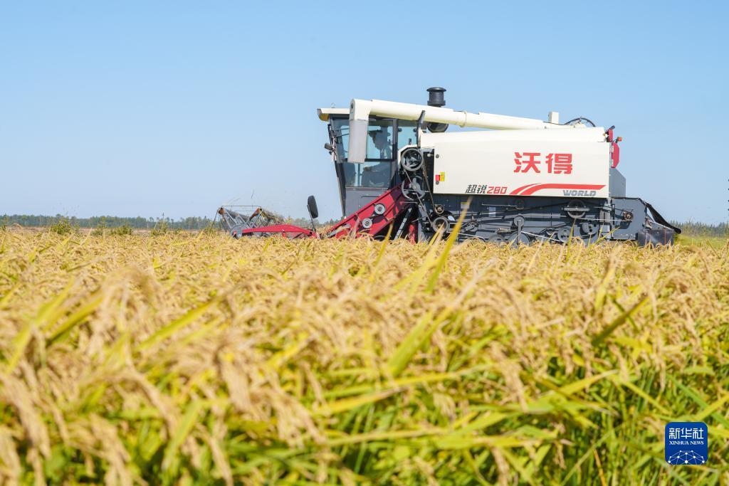 8102com宝马论坛